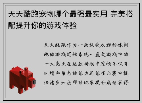 天天酷跑宠物哪个最强最实用 完美搭配提升你的游戏体验